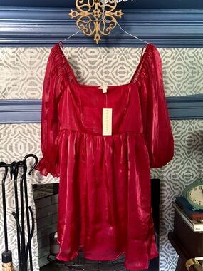 Red Sheer Puff Sleeve Babydoll Dress